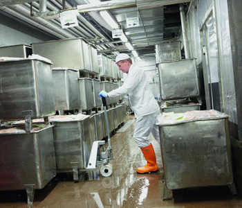 Toyota hand pallet truck for wet environment